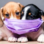 Find the Best Face Mask for Your Muzzle | HealthDiscovery.org
