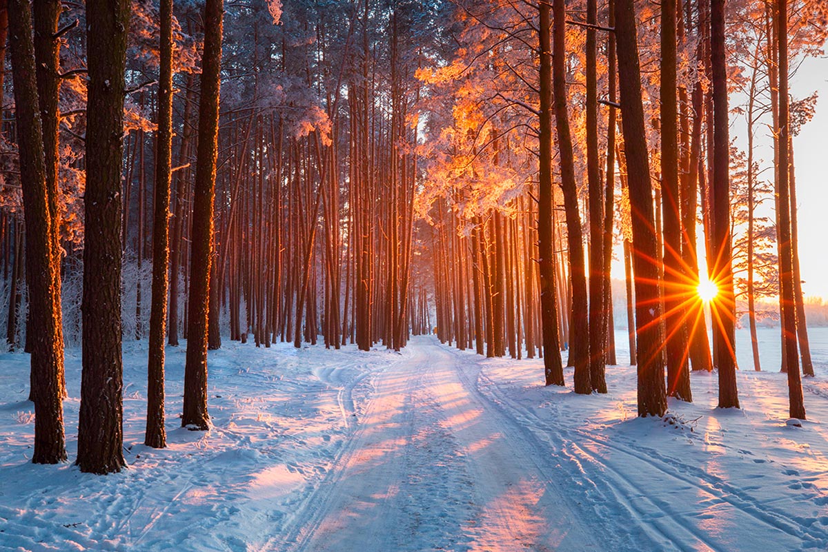 A lack of winter sunlight may contribute to conditions like seasonal affective disorder | HealthDiscovery.org