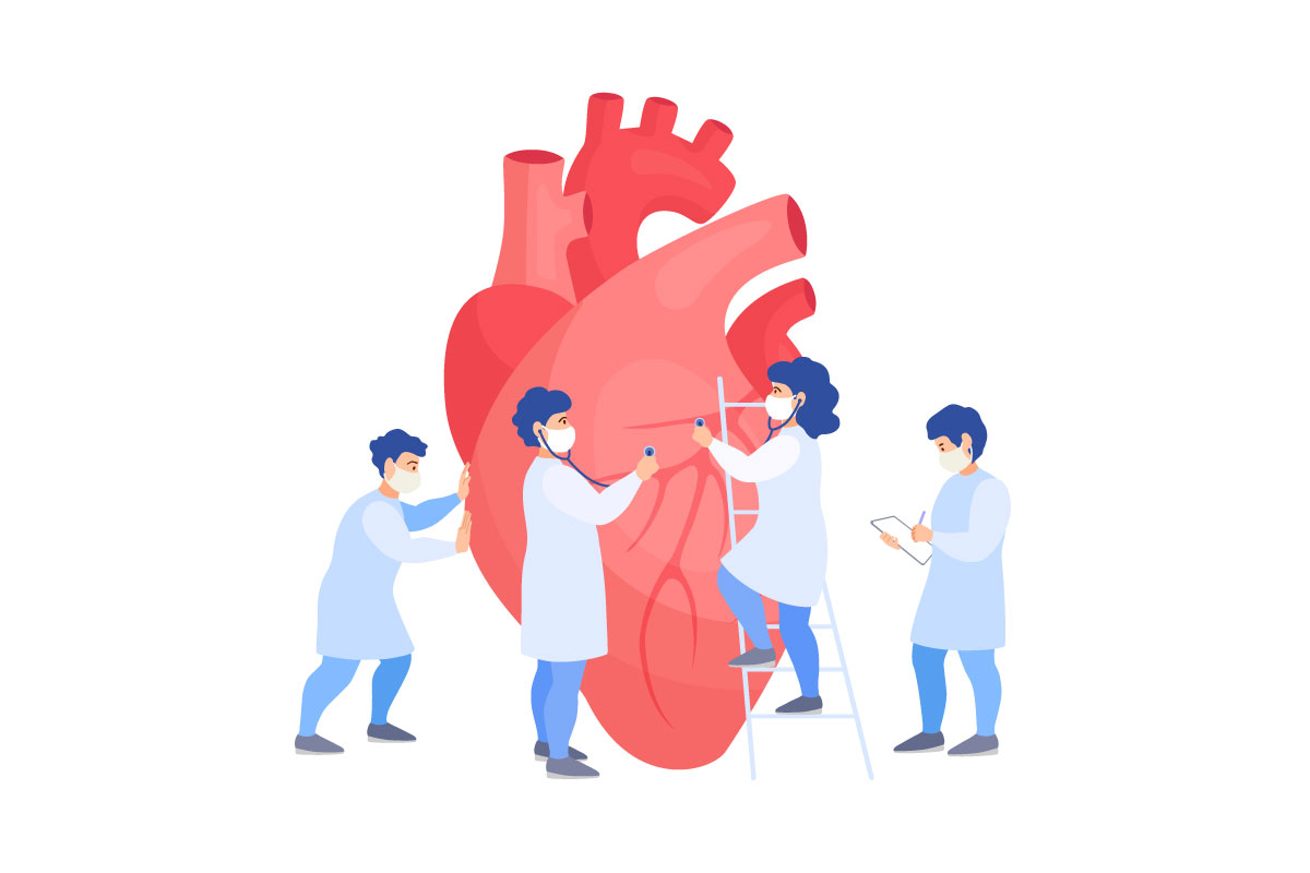 Knowledge and regular doctor check-ups are essential parts of maintaining your cardiac health | HealthDiscovery.org