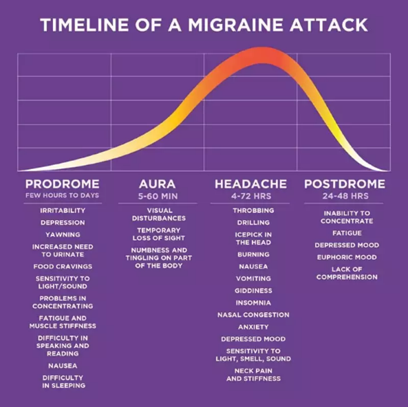 Timeline of migraine attack
