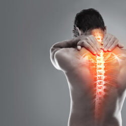 Targeting back pain | HealthDiscovery.org