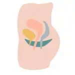 Female organs for a healthy pelvic floor | Corporate Synergies