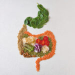 Gut-shaped Fiber-Rich Ingredients for digestive health | Corporate Synergies